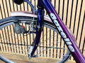 Gazelle Toulouse Old-timer